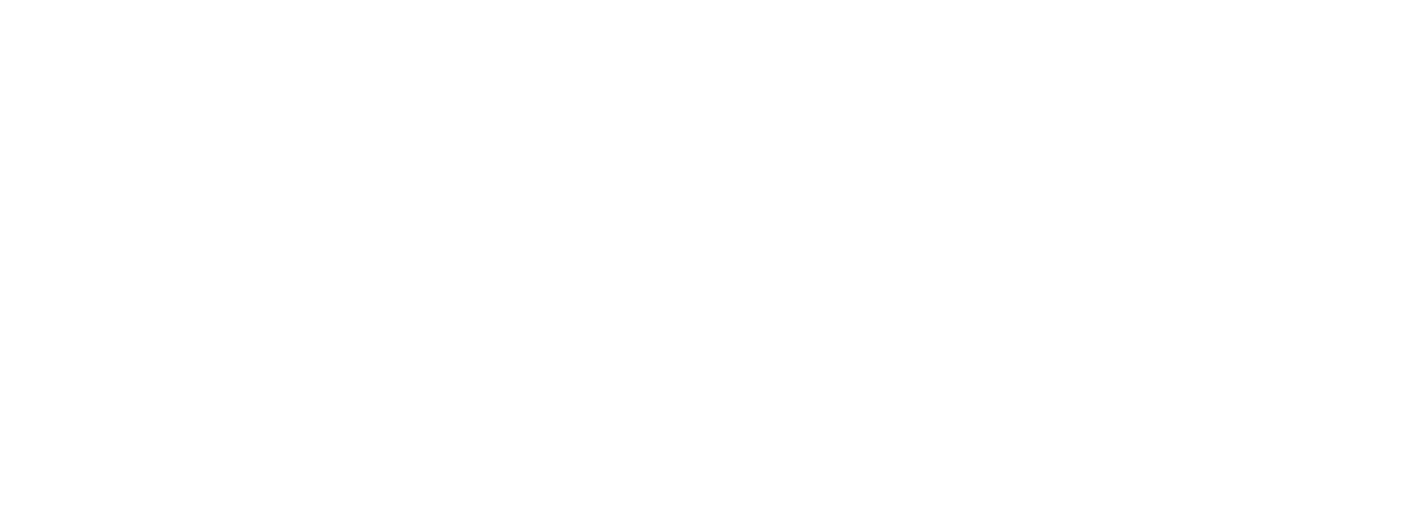 API Logo